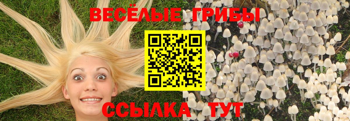 Псилоцибиновые грибы ЛСД Дербент