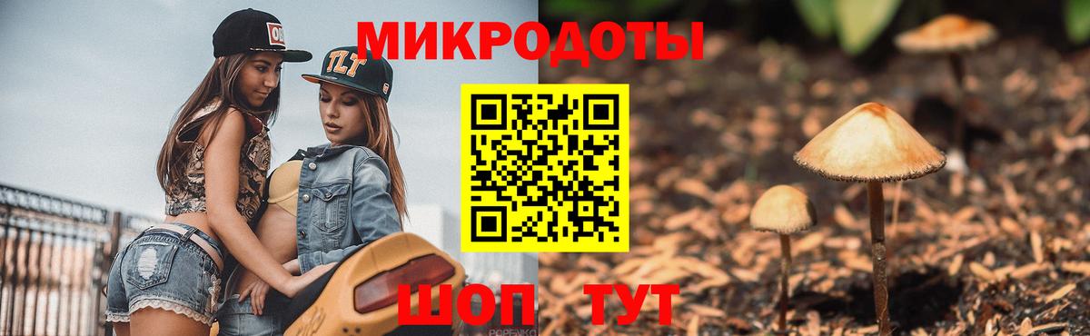 наркотики  Галлюциногенные грибы Psilocybine cubensis  Вход с VPN  Дербент 