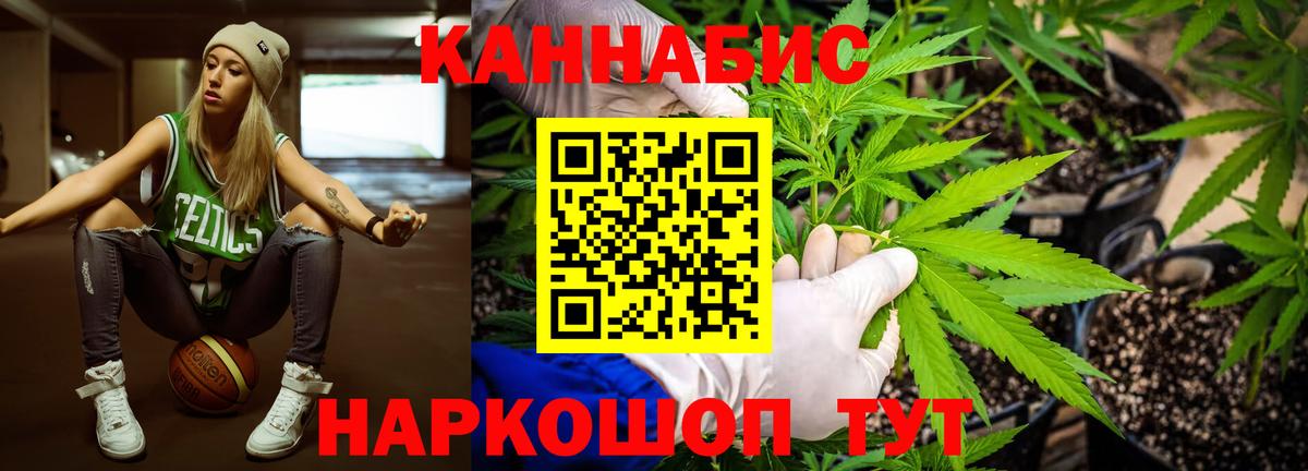 Канабис планчик  Шишки марихуана семена  Дербент  Вход с VPN  Бошки Шишки гибрид 